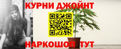 стаф Новозыбков