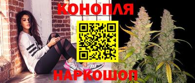 стаф Новозыбков