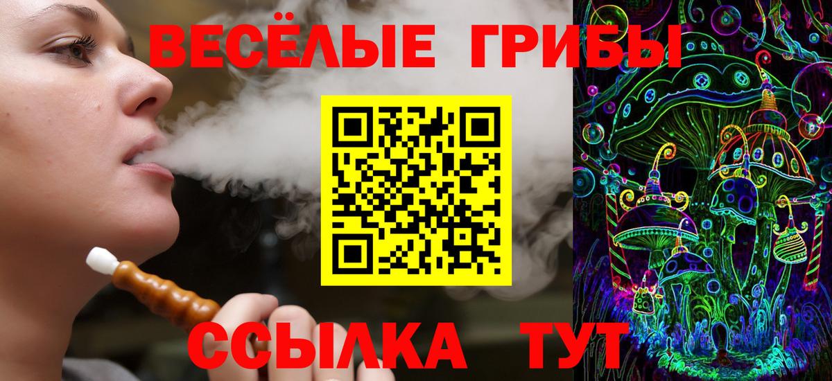 Галлюциногенные грибы прущие грибы  Вход с VPN  Топки 