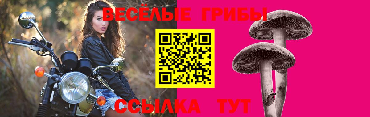 Псилоцибиновые грибы прущие грибы Топки
